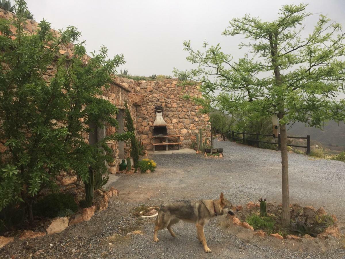 Cuevas El Torriblanco ξενώνας Gorafe Εξωτερικό φωτογραφία